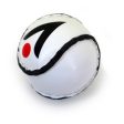 Karakal Training Sliotar Hot on Sale