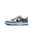 Big Kids Nike Dunk Low - COOL GREY BLACK-PURE PLATINUM Fashion